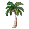 Palm tree
