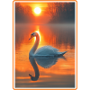 Swans Swan