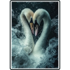 Swans Swan