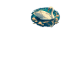 Swans Swan