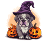 Halloween Witch Hat Pumpkin Dog Bulldog