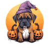 Halloween Witch Hat Pumpkin Dog Boxer