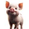 Cochon domestique Truie Cochons Love Piggy