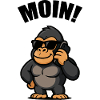 gorilla handy moin