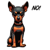 No Miniature Pinscher Pinscher Pinscher Owner