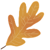 Autumn Oak Leaf Illustration