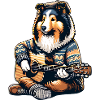 Collie Mit Akustikgitarre Im Strickpullover