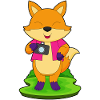 Fox Photographer Camera