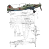 IL-2