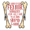 Leg fracture Broken thigh