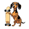 Dackel mit Skateboard Design