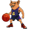 Cochon basketteur basketteur