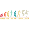 Mixed Martial Arts Evolution Design