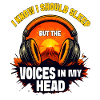 Voices in My Head Sunset Design