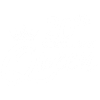 20th Birthday Queen 