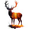 Autumnal deer in sunset