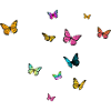 Schöner Mädchenname FRAUKE mit Schmetterlingen 