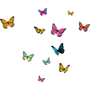 Värikkäitä perhosia nimen Sophie ympärillä