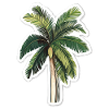 Palm tree