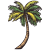 Palm tree