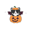 Cat Happy Halloween Pumpkin Bat Costume
