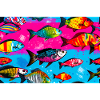 Bunte Fische auf hellen Hintergründen