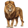 Majestic lion head on vintage background