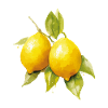 Lemons with leaves - Fresh retro design