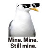 Pixelated seagull with Sunglasses Design