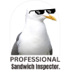 Humorous Seagull with Sunglasses T-Shirt