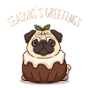 Bouledogue français – Vœux de Noël