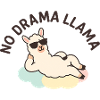 Casual llama illustration with sunglasses saying