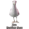 Abstract Seagull with Colourful Accents