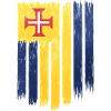 Portuguese flag with cross motif