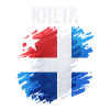 Farbige Skandinavische Flagge Kunst