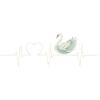 Swans Swan