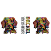 Wire-haired dachshund
