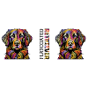 Flat Coated Retriever