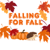 Falling Fall