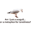 Seagull Loneliness Reflection T-Shirt