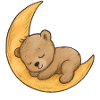 Cuddly bear moment on the moon