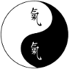 Yin Yang Symbol with Chinese Characters