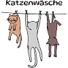Cat wash