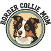 border-collie-mom-3