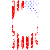 American Flag Skull