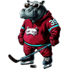 Nilpferde Eishockey