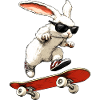 Rabbit Skater / Skateboard Rabbit