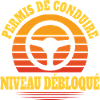 License Level Unlocked Gamer Driver