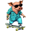 Skater Pig