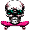 Skulls Skateboard / Skater Skull